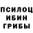 Псилоцибиновые грибы Psilocybe Alim Tutov