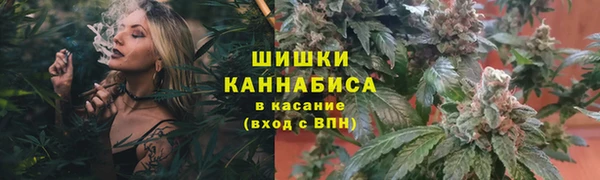 прущие грибы Волоколамск