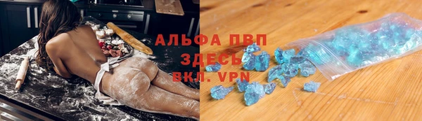 ПСИЛОЦИБИНОВЫЕ ГРИБЫ Верея