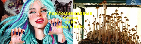 не бодяженный Володарск
