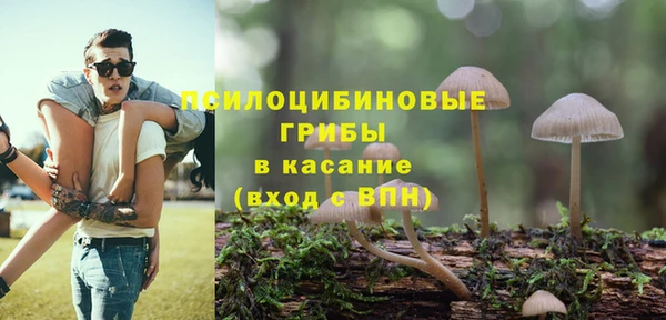 прущие грибы Волоколамск